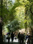 DSCF2313.JPG