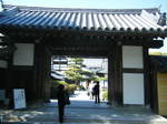 DSCF2342.JPG